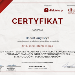 Powiększ