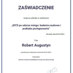 Powiększ